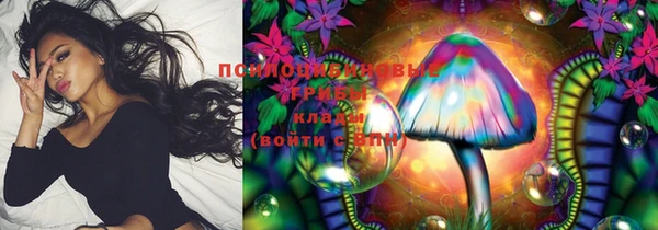 молекула духа Пестово