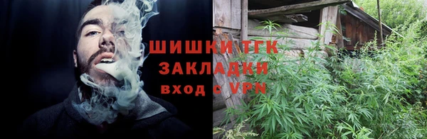 прущие грибы Белоозёрский