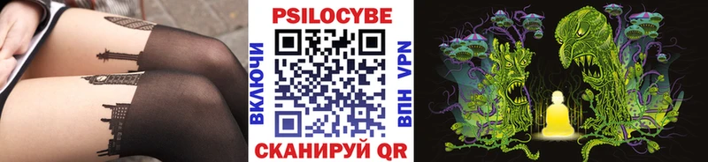 где найти наркотики  Первомайск  Псилоцибиновые грибы GOLDEN TEACHER 